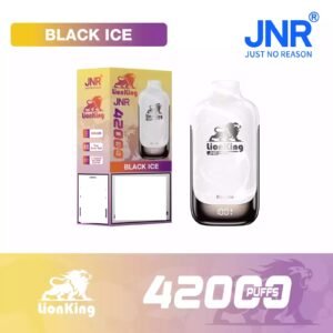 JNR LIONKING 42K 42000 Puffs Big Cloud Disposable Vape Smart Design