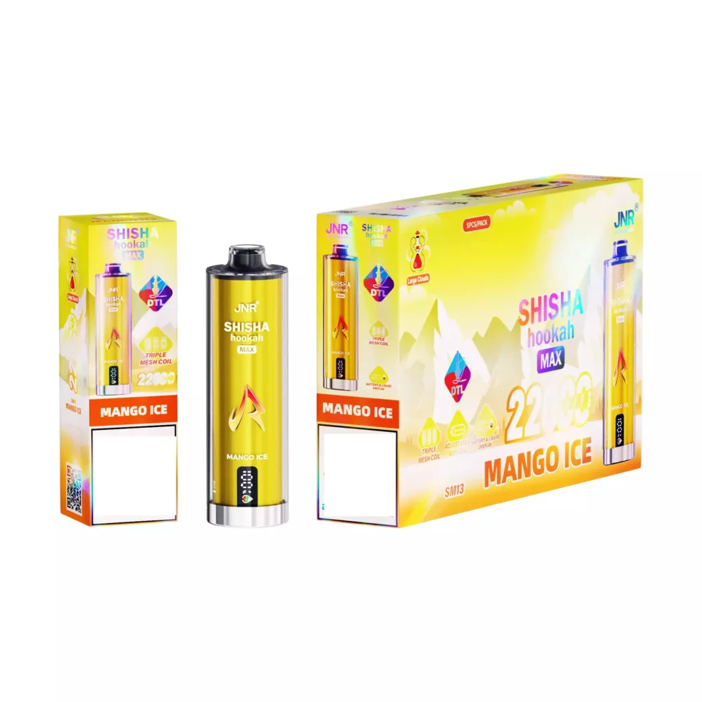 JNR Shisha Max Disposable Vape 22000 Puffs Professional Distributors in Europe