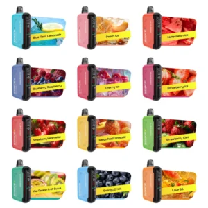 VAPME Spacex 22000 Puffs Digital Screen Rechargeable Disposable Vapes