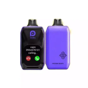 VASY POSH PRO MAX 30000 Puffs Rechargeable Disposable Vapes